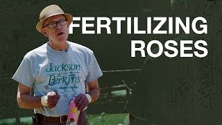 Fertilizing Roses with Paul Zimmerman [upl. by Rudwik]