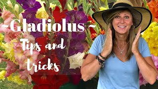 Gladiolus Tips and Tricks  Kelly Lehman [upl. by Cybil779]