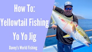 How To Yo Yo Jig for Yellowtail  Fishing Techniques [upl. by Esinart85]