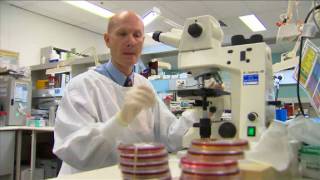 Day in the Life  Microbiology  Virology  Prof Bill Rawlinson [upl. by Enelaehs]