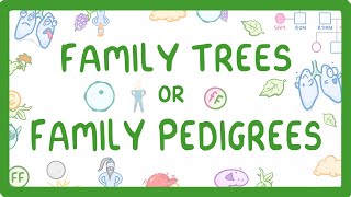 Genes DNA amp chromosomes  Heredity amp Evolution  Biology  Khan Academy [upl. by Cornel947]