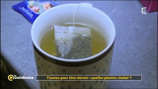 Tisane pour bien dormir  quelle plante choisir   La Quotidienne [upl. by Adai284]