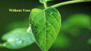 Roger Daltrey  Without Your Love w lyrics [upl. by Ynos969]