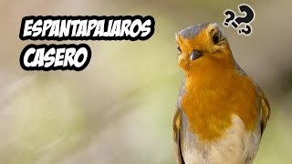 Como hacer un Espantapajaros Casero  La Huerta de Ivan [upl. by Laerol]