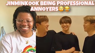 JINMINKOOK BEING PROFESSIONAL ANNOYERS Reaction [upl. by Hanas]