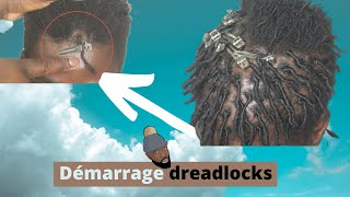 Comment faire un démarrage de Locks  REAL HAIR  2 Techniques [upl. by Annaes]