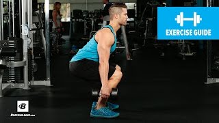 How to Dumbbell Squat  Mike Hildebrandt [upl. by Noyek]