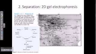 Proteomics [upl. by Raymond813]