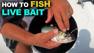 How to Fish Live Bait  Yellowtail Tips [upl. by Leinad]