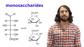 Carbohydrates Part 1 Simple Sugars and Fischer Projections [upl. by Lenssen]