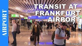 TRANSIT WALK AT FRANKFURT Airport FRA Terminal 1  Connection Flight Transfer Arriving amp Departing [upl. by Jeaz]