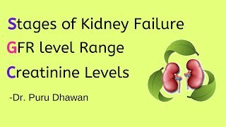 Stages of Kidney failure  GFR level Range  Creatinine Levels [upl. by Konrad]