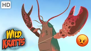 Wild Kratts  Animals ATTACKWildlife [upl. by Leach]