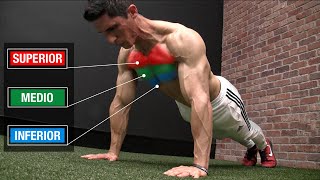 Rutina de FLEXIONES Perfecta 3 NIVELES ¡Pectorales  Pecho [upl. by Clawson]