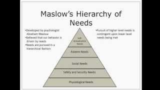 Maslows Hierarchy of Needs [upl. by Eelyam]