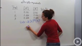 Reaction Rate Laws [upl. by Ellingston804]