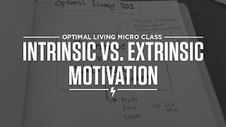 Intrinsic vs Extrinsic Motivation [upl. by Nnadroj697]