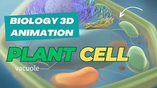 The Secret World Inside Plant Cells  3D Animation Reveals [upl. by Dalury]