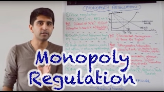 Y2 28 Competition Policy  Monopoly Regulation [upl. by Rambort590]