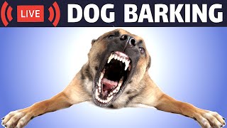 Dog Barking Sound  Dogs Barking Live Bark [upl. by Athal]