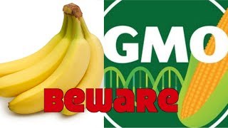 Are You Eating Dangerous GMO Bananas [upl. by Audre]