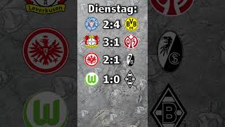 17 SPIELTAG  BUNDESLIGA 202425 [upl. by Casia]