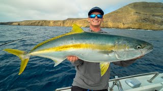 HUGE California Yellowtail Catch Clean Cook California Deep Sea Island Fishing [upl. by Atauqal559]