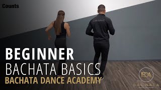 Bachata Beginner Basic Steps Tutorial  Demetrio amp Nicole  Bachata Dance Academy [upl. by Nekcarb]