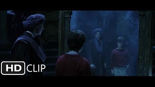 Harry Confronts Quirrell  Harry Potter and the Sorcerers Stone [upl. by Rim]