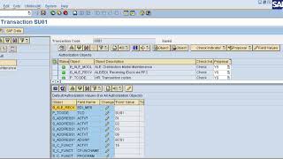 SE01 tcode in SAP [upl. by Maleen]