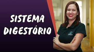 Sistema Digestório  Brasil Escola [upl. by Nivac240]