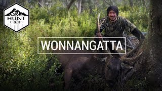 WONNANGATTA  Sambar Hunting the Victorian High Country [upl. by Ibby632]