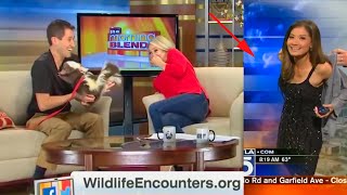 Funniest TV News Bloopers of 2021 [upl. by Laureen]