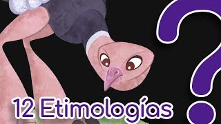 12 Palabras de origen curioso  etimologías [upl. by Schmitt]