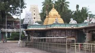 SRISAILAM MALLIKARJUNA SWAMY TEMPLE IN ANDHRA PRADESH  NALLAMALA FOREST [upl. by Eugine582]