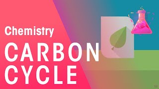 What Is The Carbon Cycle  Part 1 Environmental Chemistry  Chemistry  FuseSchool [upl. by Nahtnamas]