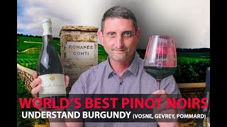 Finest Burgundy Wines  Your Guide to Top Pinot Noirs  VosneRomanée Pommard GevreyChambertin [upl. by Aned]